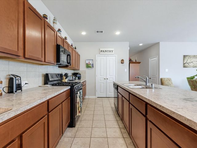 10414 Ritter Run Drive, Rosharon, TX 77583