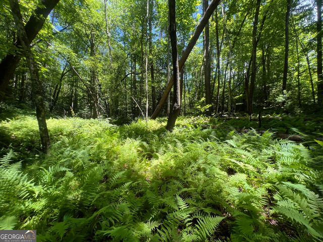 80 Windchase Lane, Sautee Nacoochee, GA 30571