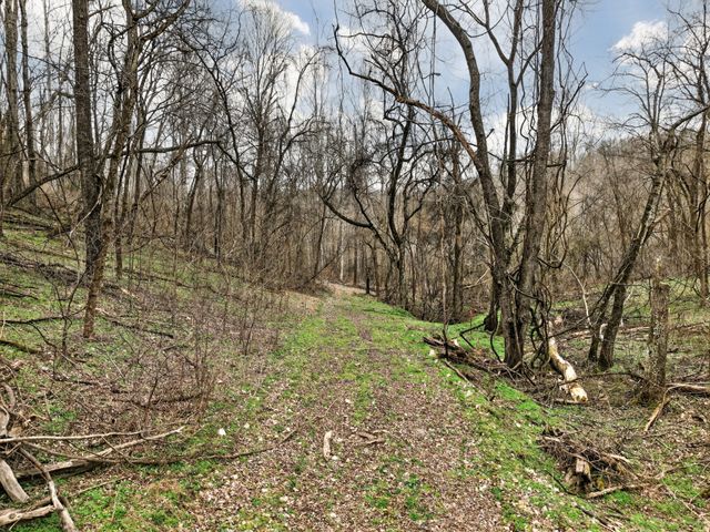 0 Goose Branch Rd, Lynchburg, TN 37352