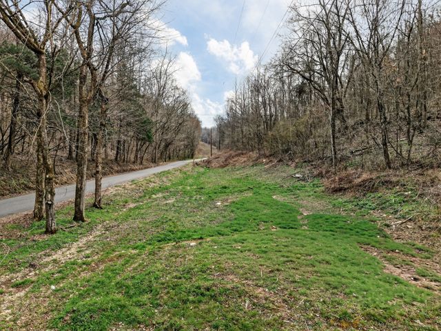 0 Goose Branch Rd, Lynchburg, TN 37352