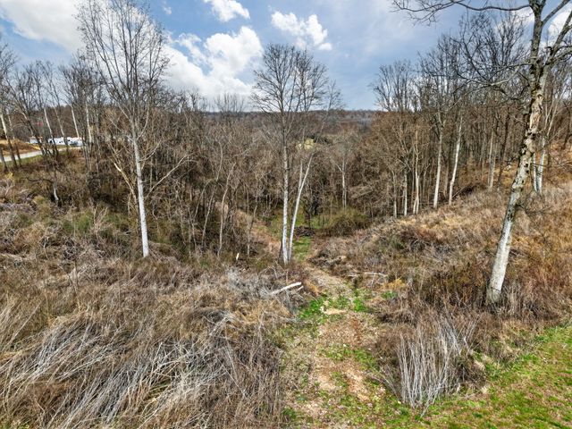 0 Goose Branch Rd, Lynchburg, TN 37352