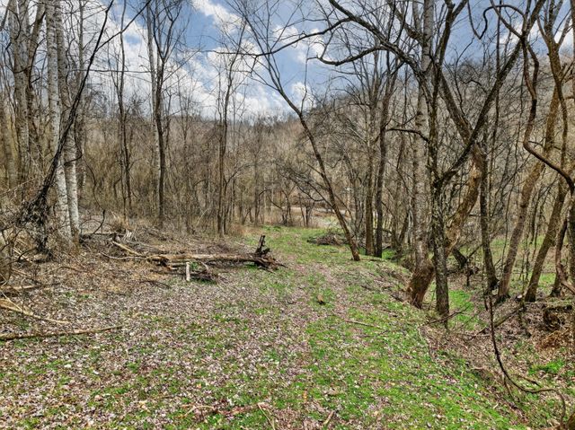 0 Goose Branch Rd, Lynchburg, TN 37352