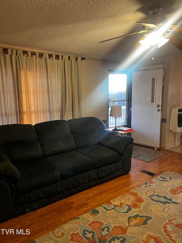 340 Ola Drive Drive, Jonesville, VA 24263