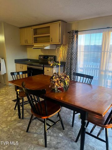 340 Ola Drive Drive, Jonesville, VA 24263