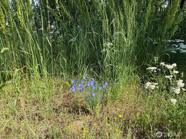 0 Big Springs Ranch Road, Malaga, WA 98828