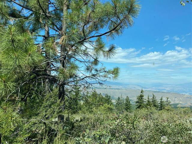 0 Big Springs Ranch Road, Malaga, WA 98828