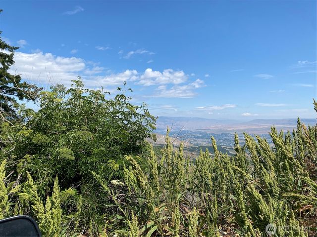 0 Big Springs Ranch Road, Malaga, WA 98828