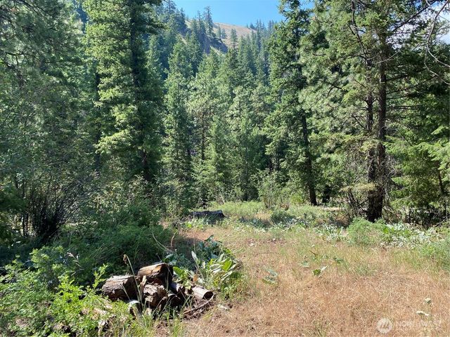 0 Big Springs Ranch Road, Malaga, WA 98828