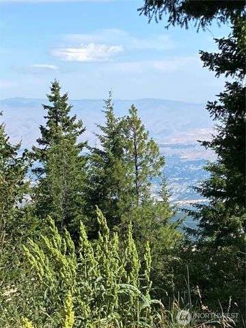 0 Big Springs Ranch Road, Malaga, WA 98828