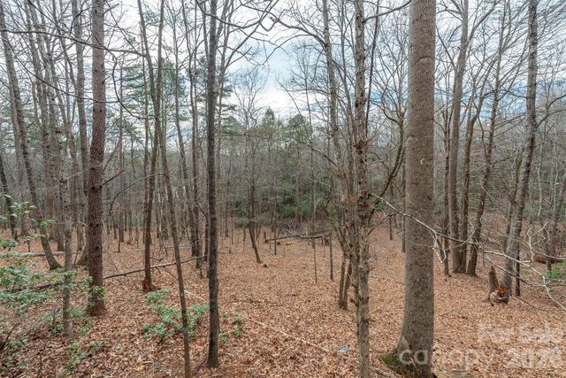 145 Flynn Court, Lake Lure, NC 28746