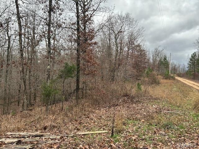 1 Hwy 49, Annapolis, MO 63620