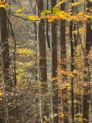 0 Old Tullahoma Rd, Estill Springs, TN 37330