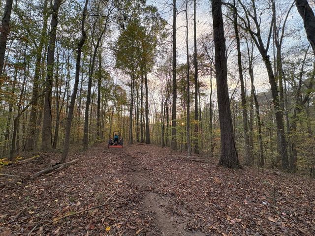 0 Old Tullahoma Rd, Estill Springs, TN 37330