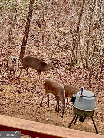 85 Flat Top Trail 64, Murphy, NC 28906