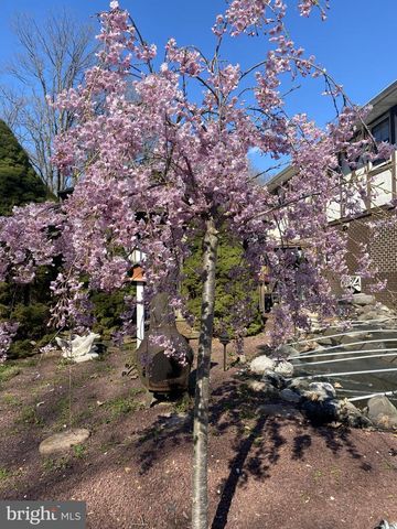 965 N COLLEGE ST, Myerstown, PA 17067