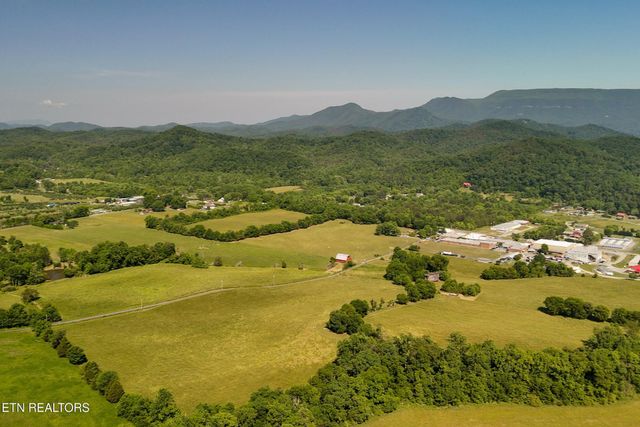 3233 Stevia Way, Cosby, TN 37722