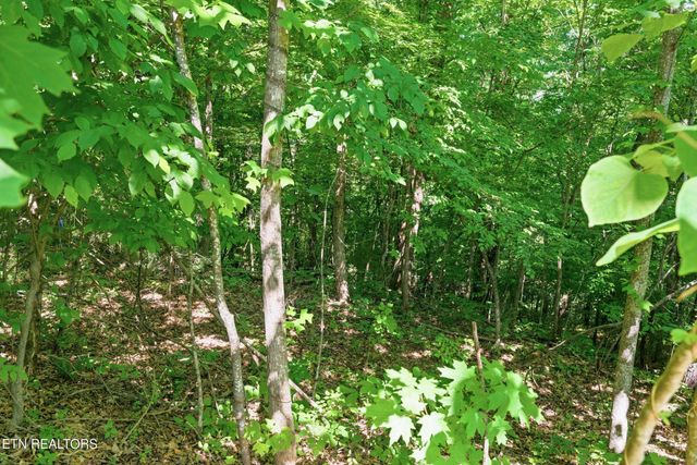 3233 Stevia Way, Cosby, TN 37722