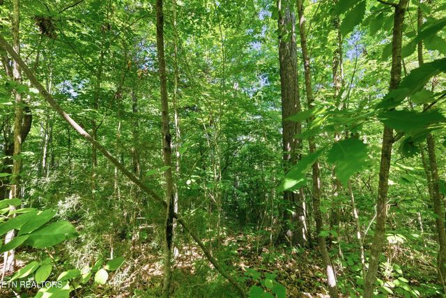 3233 Stevia Way, Cosby, TN 37722