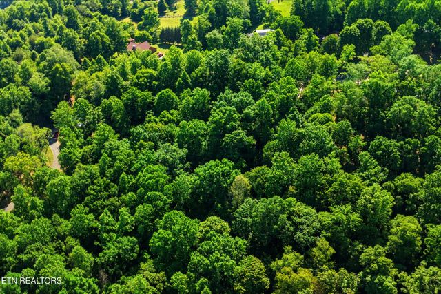 3233 Stevia Way, Cosby, TN 37722