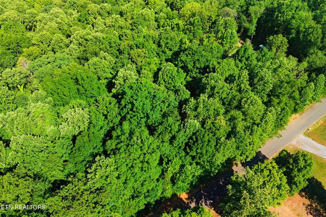 3233 Stevia Way, Cosby, TN 37722