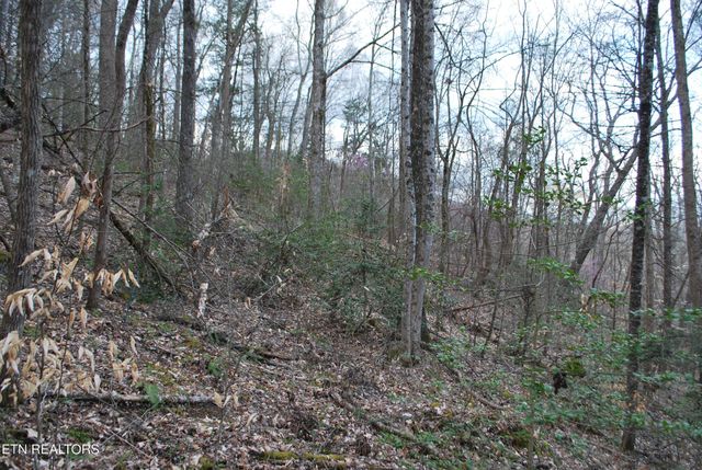 3233 Stevia Way, Cosby, TN 37722