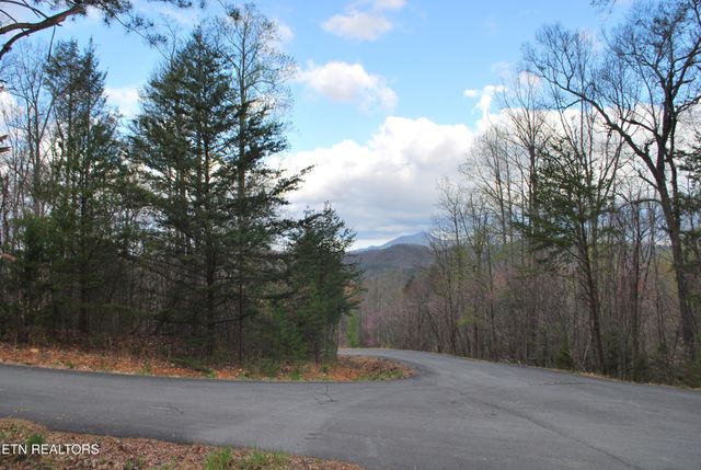 3233 Stevia Way, Cosby, TN 37722