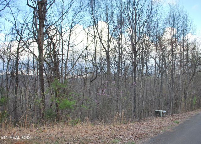 3233 Stevia Way, Cosby, TN 37722