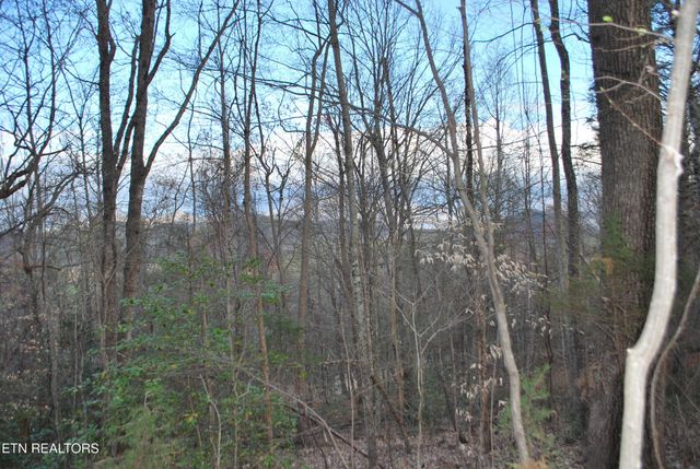 3233 Stevia Way, Cosby, TN 37722