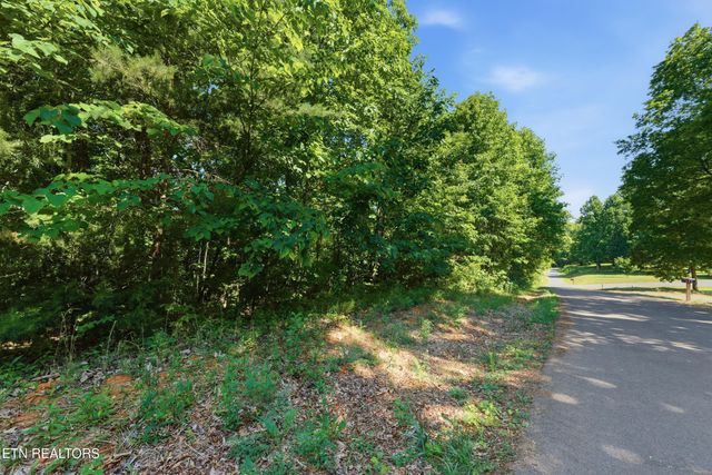 3233 Stevia Way, Cosby, TN 37722