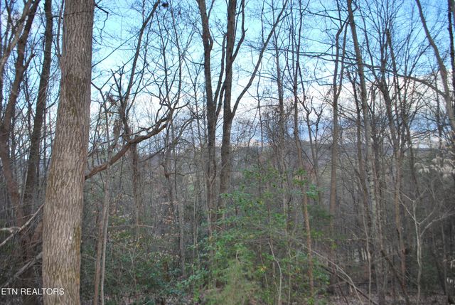 3233 Stevia Way, Cosby, TN 37722