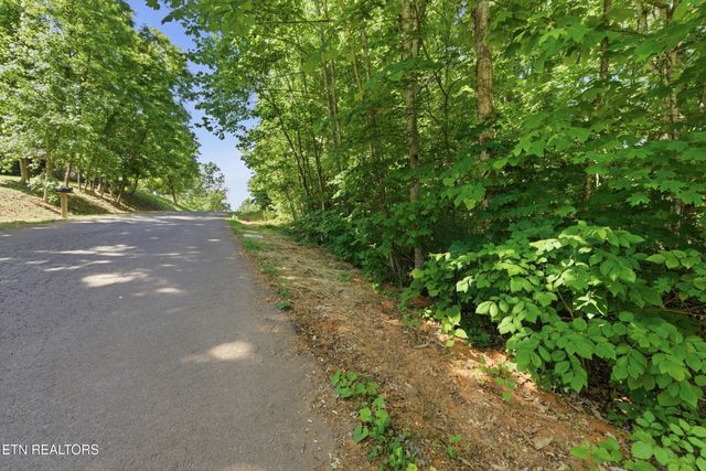 3233 Stevia Way, Cosby, TN 37722