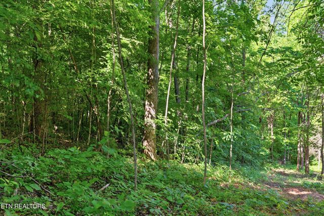 3233 Stevia Way, Cosby, TN 37722