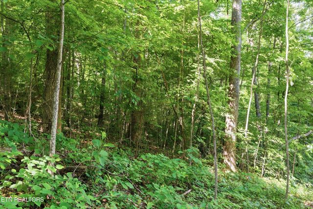 3233 Stevia Way, Cosby, TN 37722