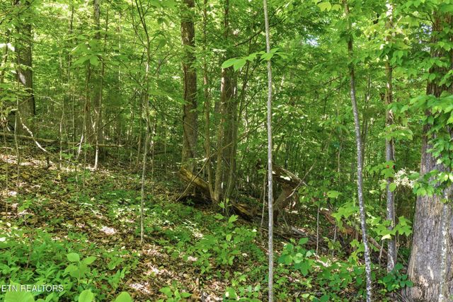 3233 Stevia Way, Cosby, TN 37722