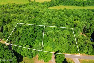 3233 Stevia Way, Cosby, TN 37722