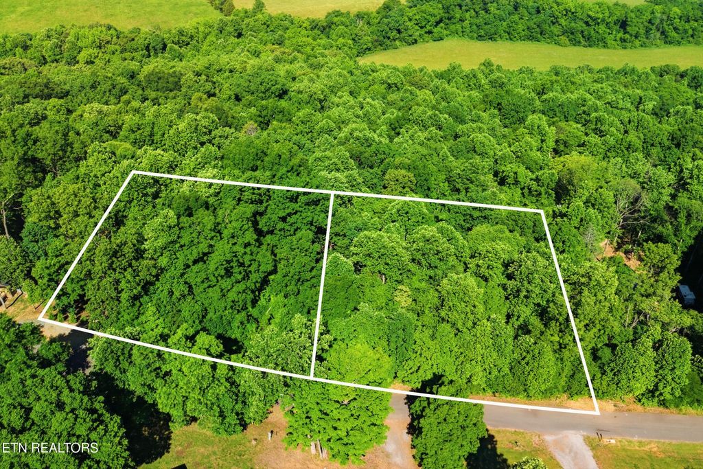 3233 Stevia Way, Cosby, TN 37722
