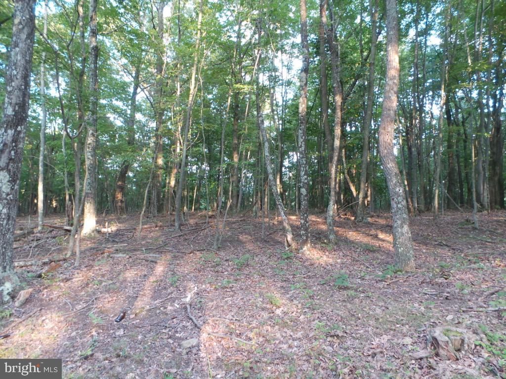 2 YOUNGBLOOD, Great Cacapon, WV 25422