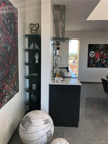 305 Palm Shores Boulevard 102B, La Joya, TX 78560