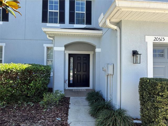 20515 GRAND VISTA LANE, Tampa, FL 33647