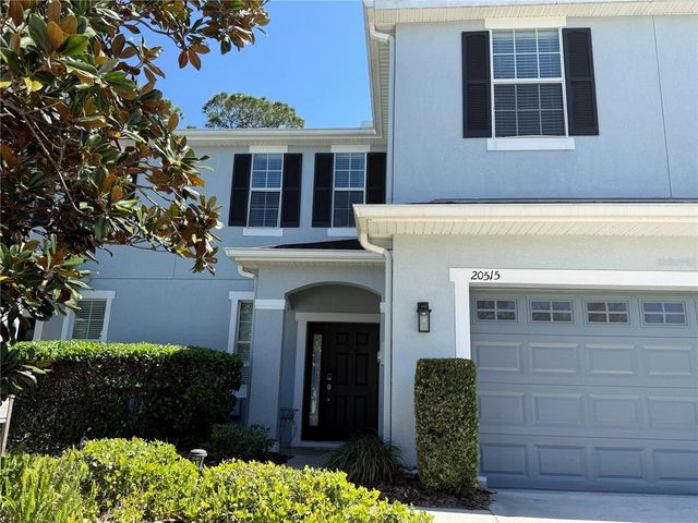 20515 GRAND VISTA LANE, Tampa, FL 33647