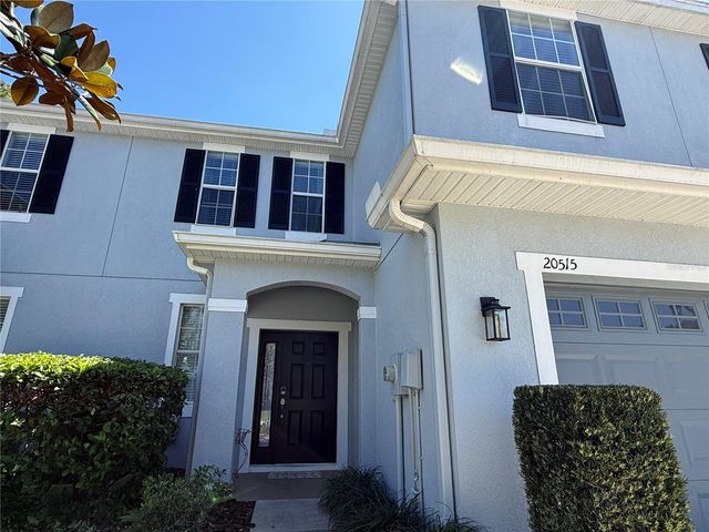 20515 GRAND VISTA LANE, Tampa, FL 33647