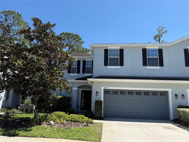 20515 GRAND VISTA LANE, Tampa, FL 33647