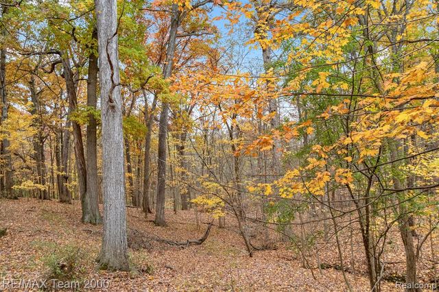 21885 Maplewood Drive, Southfield, MI 48033