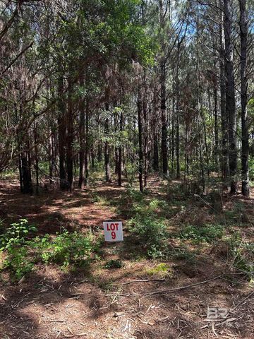 0 James Road, Foley, AL 36535