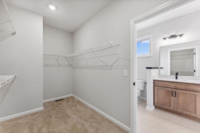 1843 Archer Street, Shakopee, MN 55379