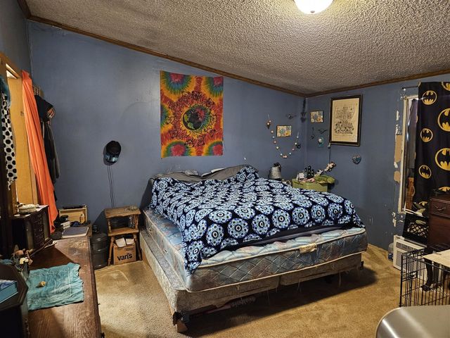 9156 50th Avenue, Evart, MI 49631