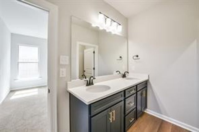 12971 Daniel Springs Lane, Magnolia, TX 77354