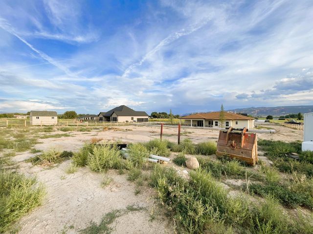 1666 Kangaroo Court, Fruita, CO 81521