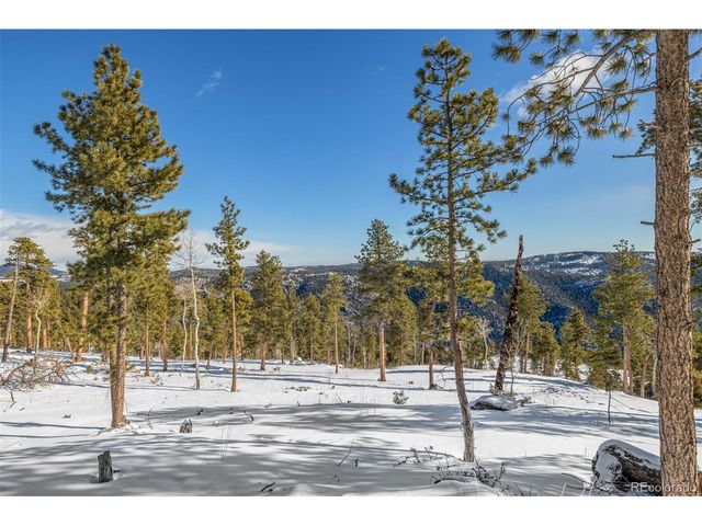 13144 Pine Country Ln, Conifer, CO 80433