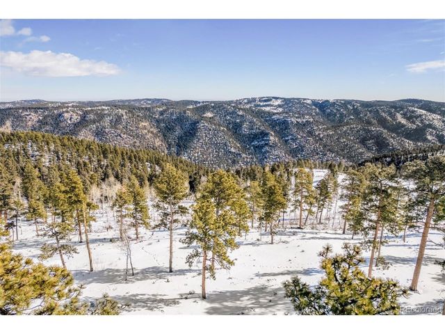 13144 Pine Country Ln, Conifer, CO 80433
